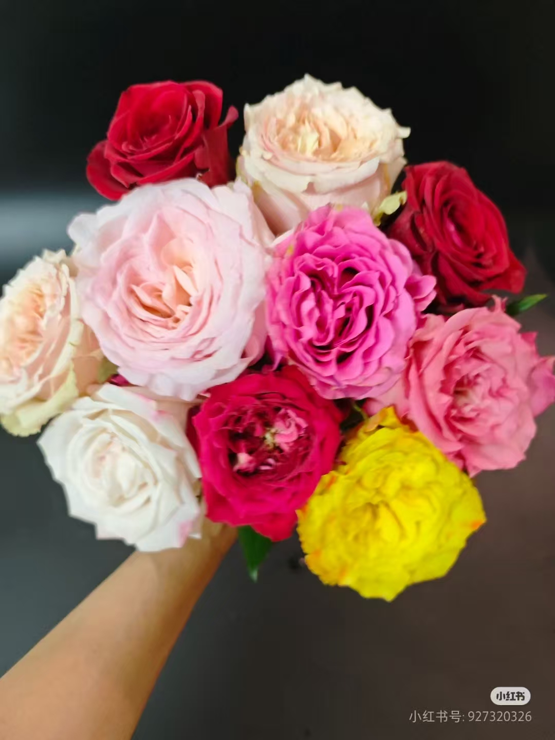 彩拼单头玫瑰：同一地址任意两单送配草，三单可备注送园艺剪刀。