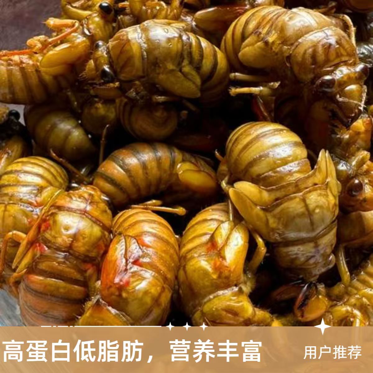 小刘推荐】新鲜杜仲金1蝉 爬叉节流侯知了侯活体速冻顺丰包邮