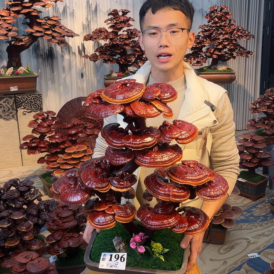 无花朵888888888888