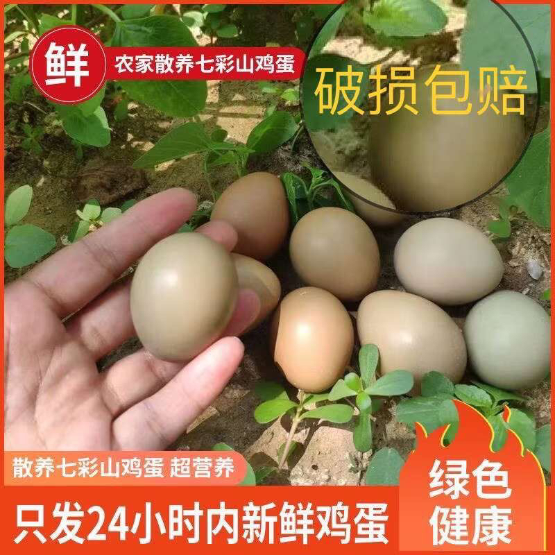 现捡现发正宗七彩山鸡蛋自家纯粮食喂养营养价值鸡蛋60枚一整箱