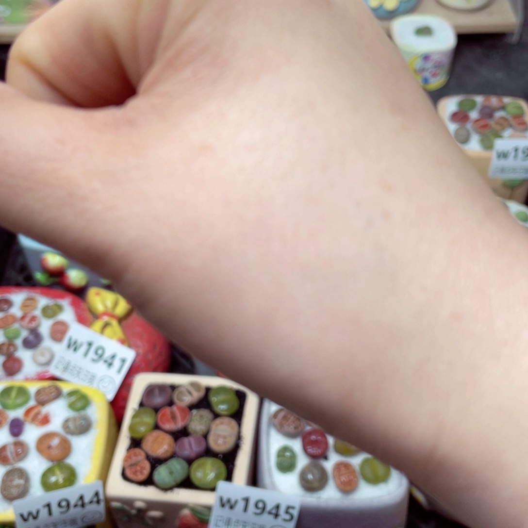 *️****w保温箱m m m m m m