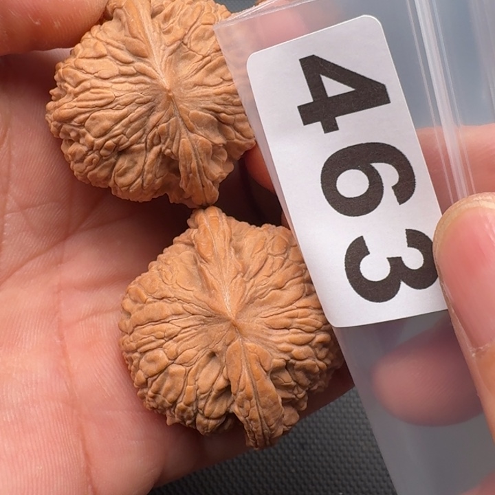 文玩核桃把件柒***7泥鳅40