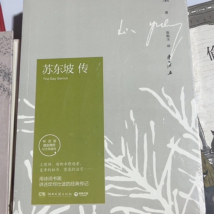 苏东坡传全新推荐