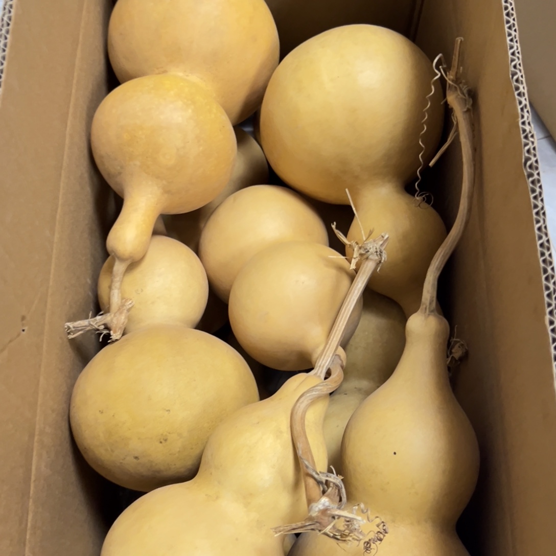 牛***仔有机玻璃葫芦葫芦