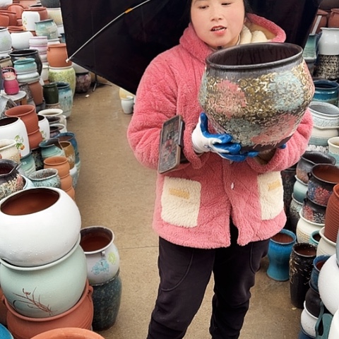 口24高24盆子盆子 