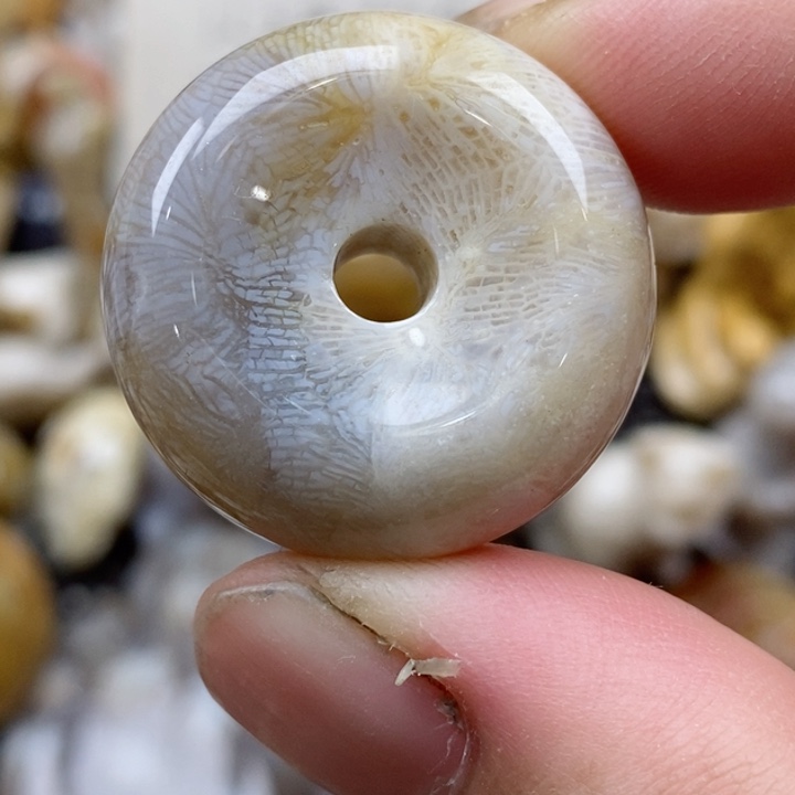 颈饰未镶嵌硅化珊瑚（珊瑚玉）小