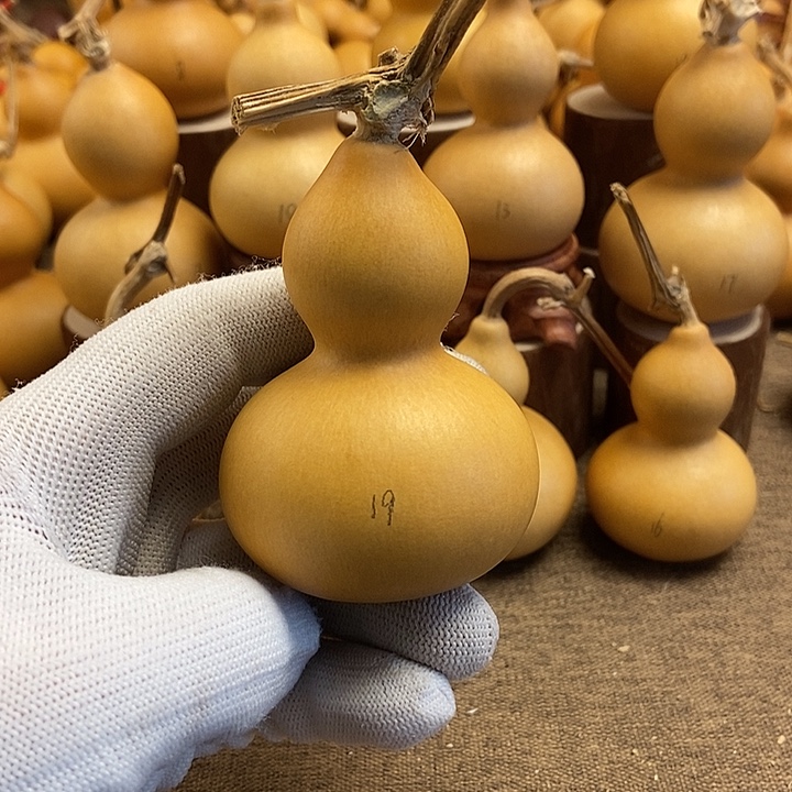 文玩葫芦 完美主义者 慎拍19