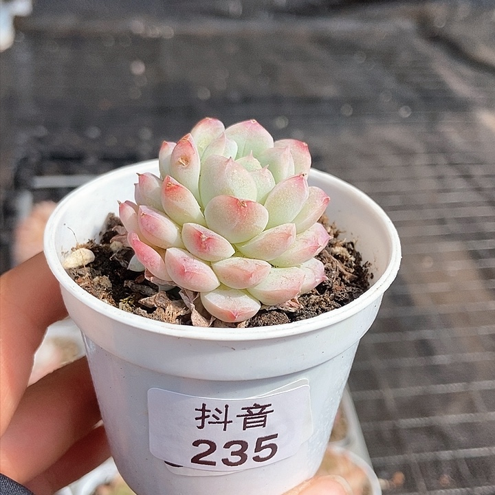 一物一拍满十元包邮发货 235