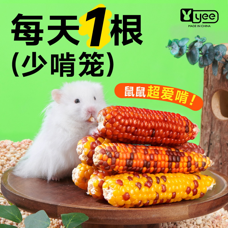 仓鼠磨牙小玉米金丝熊龙猫豚鼠磨牙零食仓鼠磨牙玩具