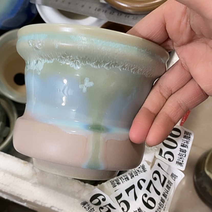 【闪购商品】红陶口10