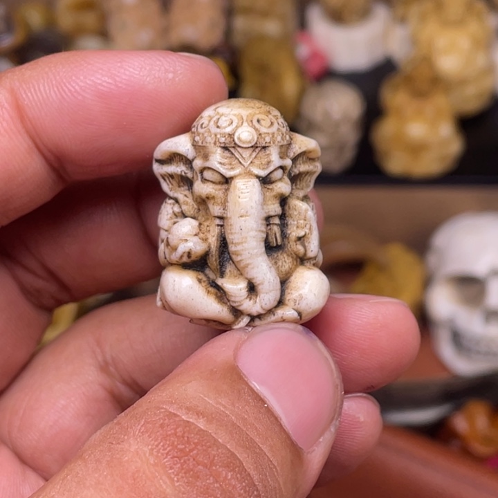 驼骨摆件人工养殖