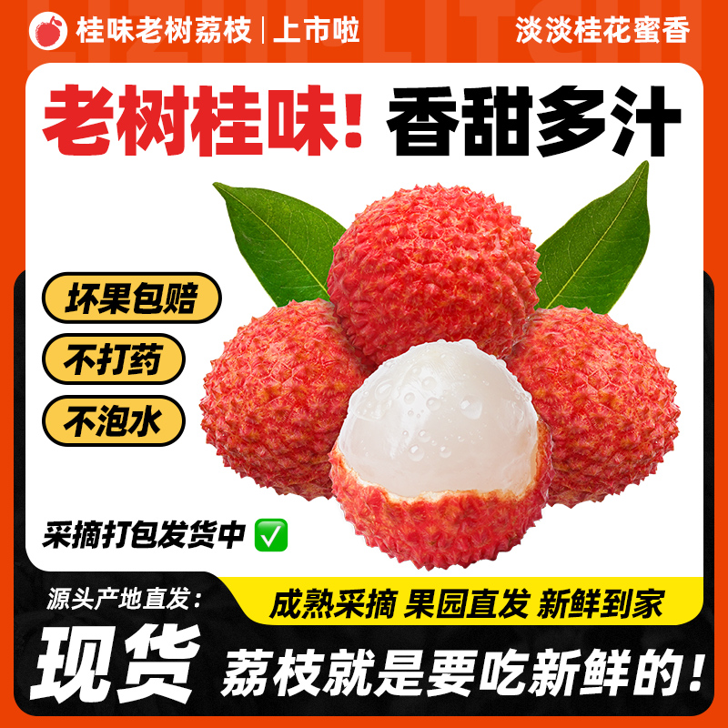 现货【顺丰包邮】广东茂名高州桂味荔枝新鲜当季水果【DGL3】