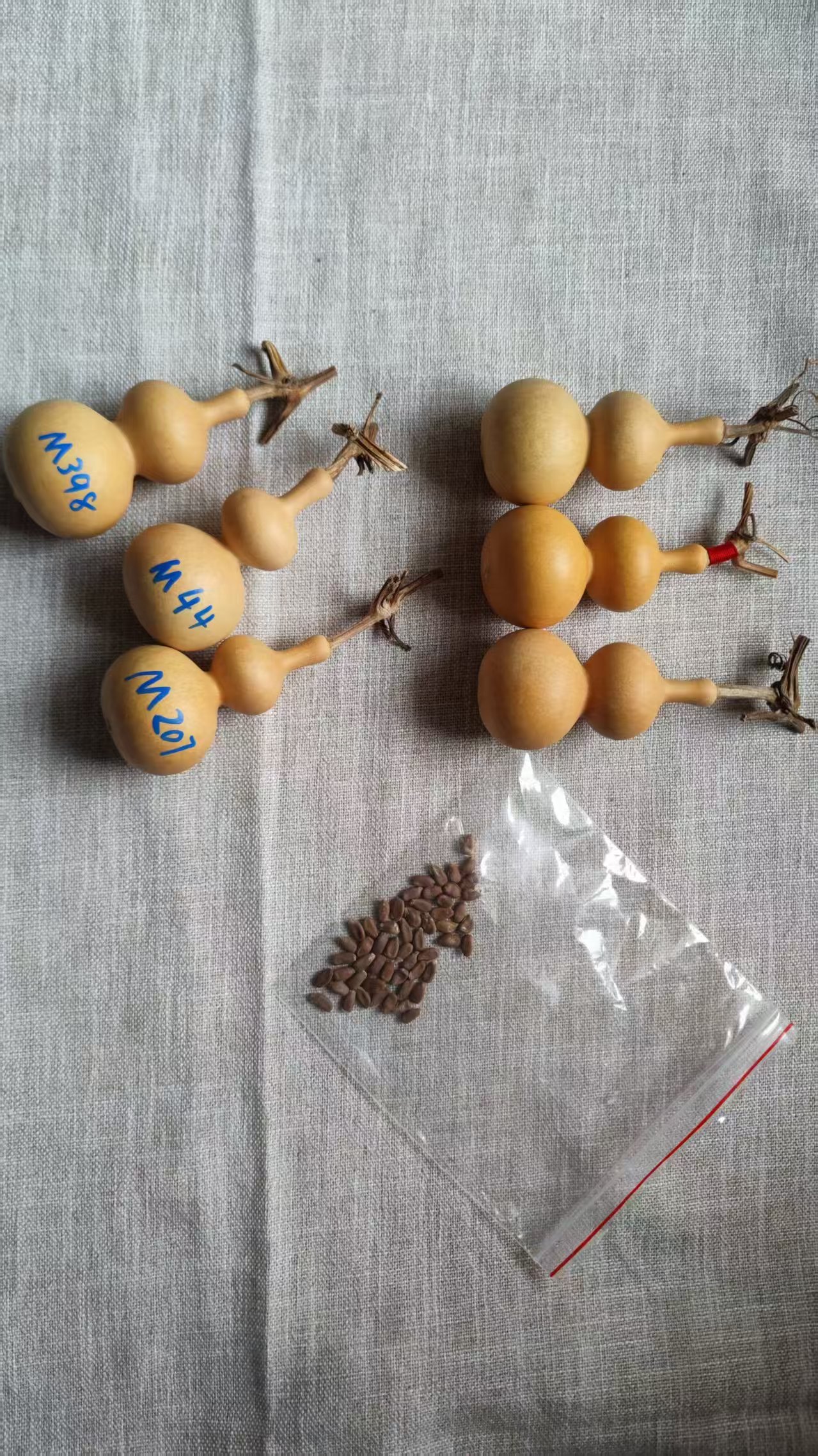 精品宫廷八宝葫芦对花纯种