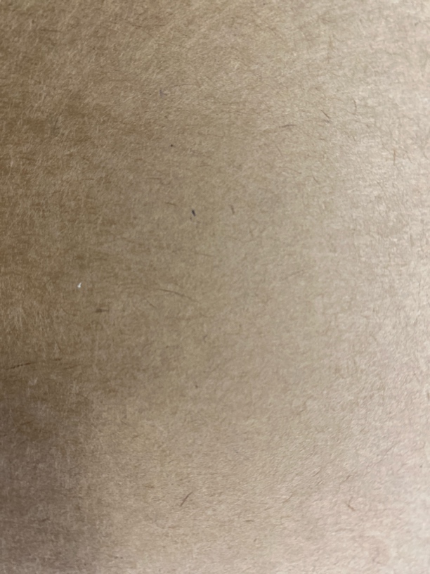 红茶5克茶叶茶样