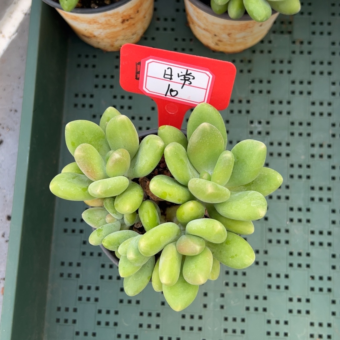 睿***常日常10。            