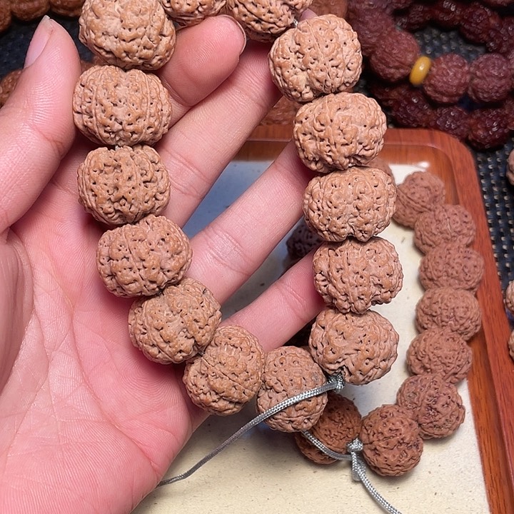 金刚菩提吊坠尼泊尔大金刚菩提