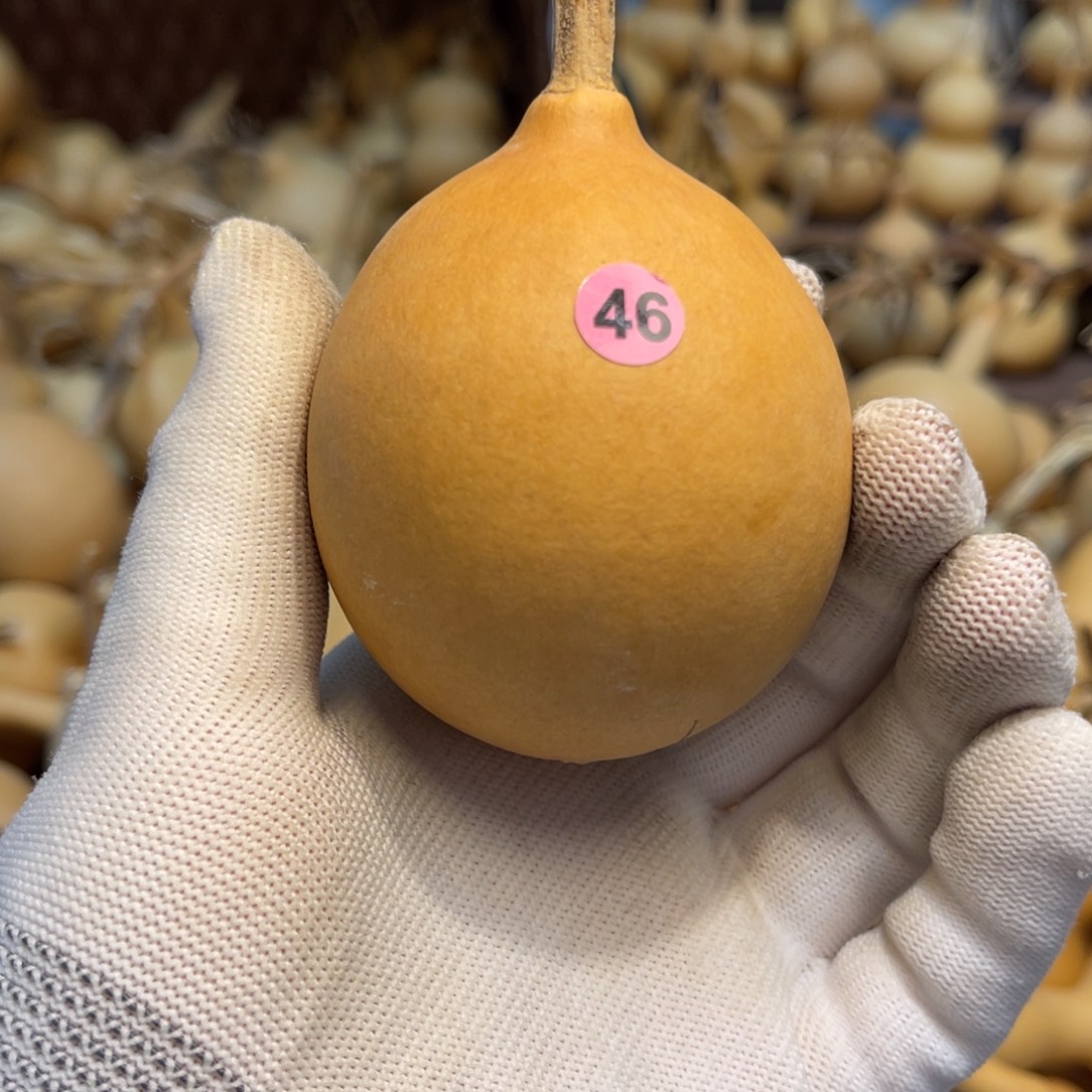 闪拍葫芦链接-46号品