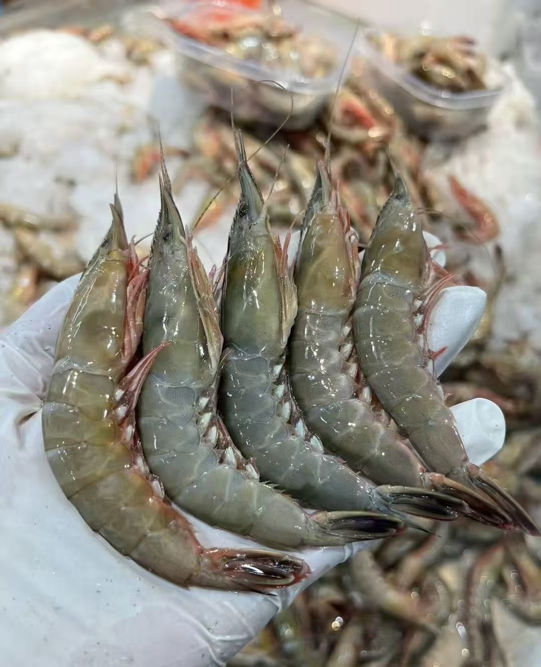   石浦小周海鲜滑皮虾 冷冻发货3斤