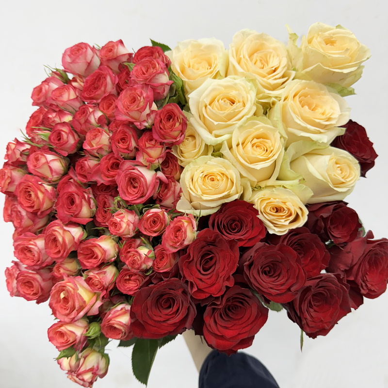 【玫瑰组合】单头玫瑰鲜花花束云南昆明基地直发速递同城家用水养花