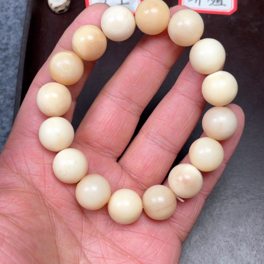 驼骨手串/手链一****?编号69