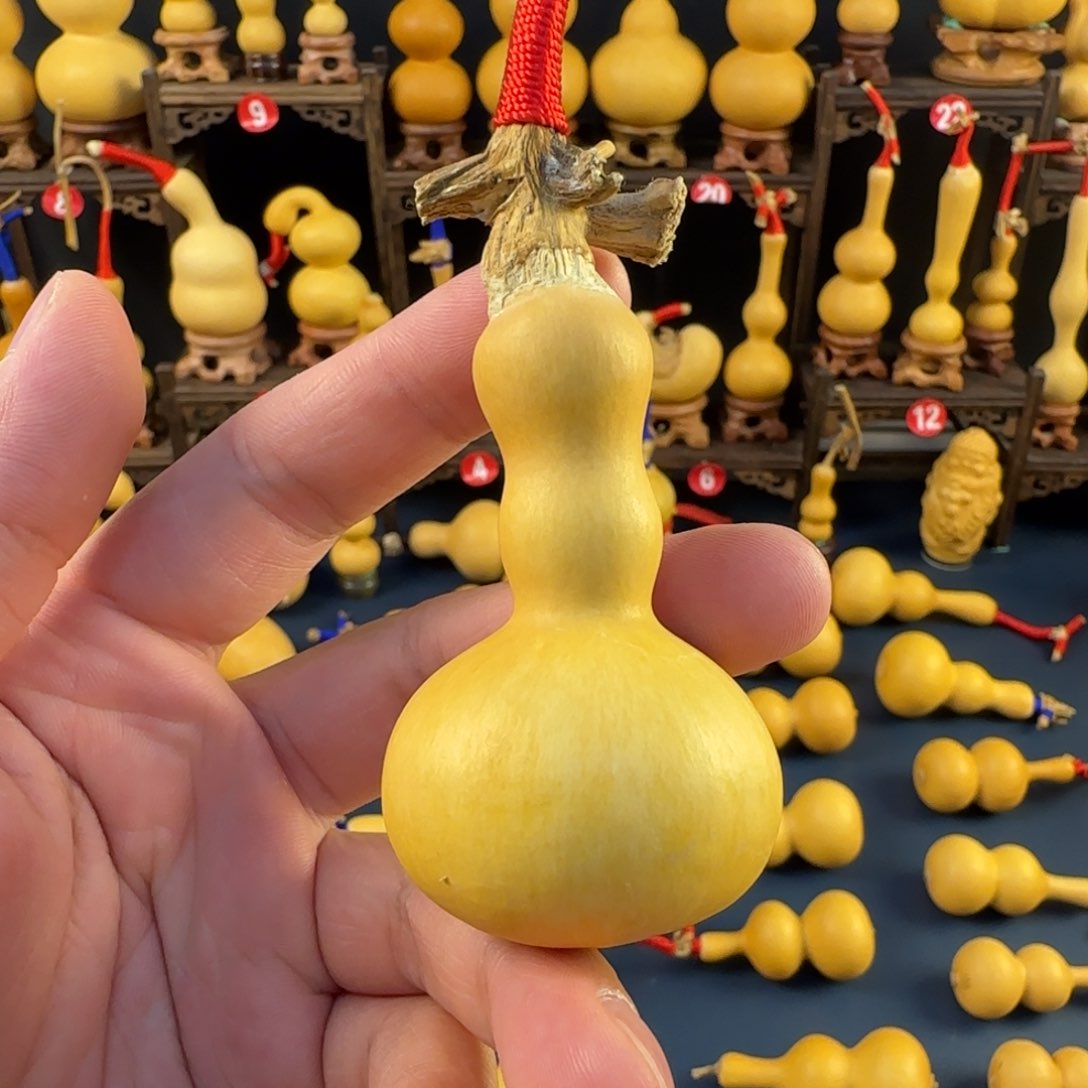 12号大爆头一九肚稳坐铁皮