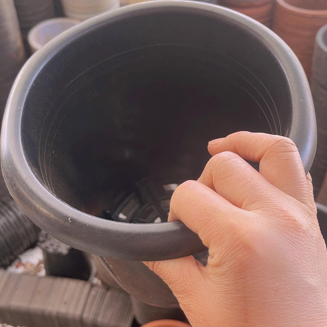 塑料新款兰花盆加厚 20公分 10个