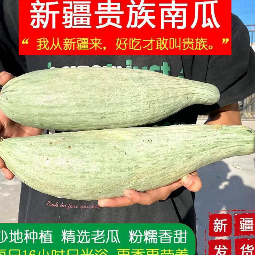 新疆直发老一代贵族南瓜丑瓜瓜王高端南瓜口感细腻软糯板栗味