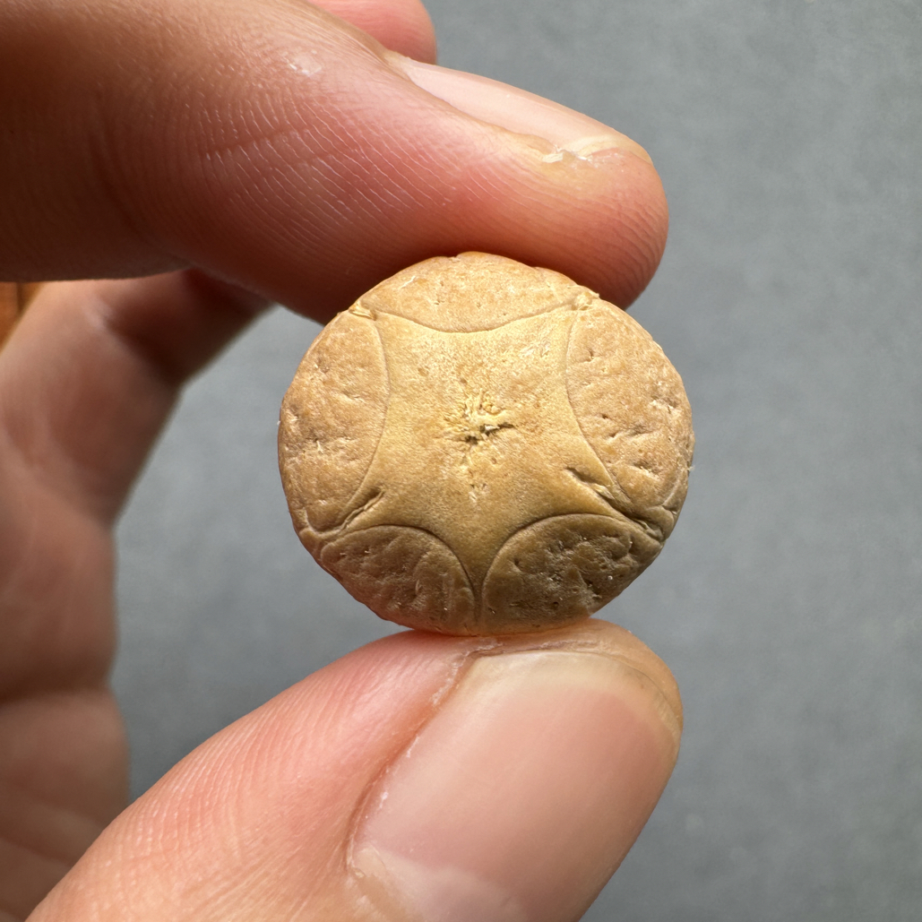 精品19+五星上将菩提凤眼菩提三通佛头，非质量问题开孔不退