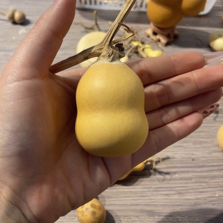 葫芦葫芦葫芦葫芦