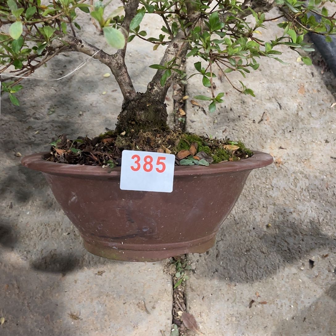 直播时间一直一直