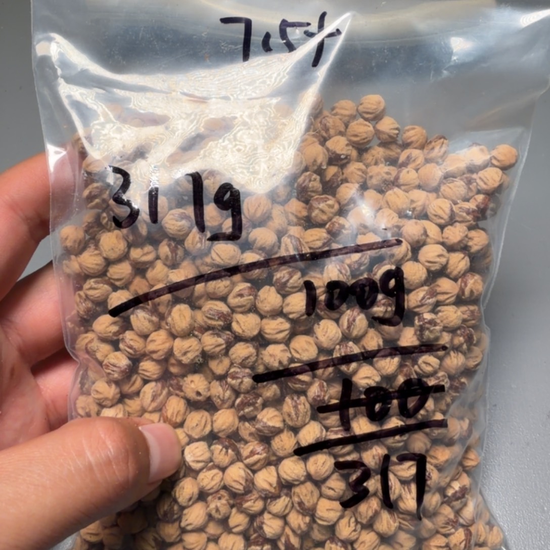 k****柏香籽/百香籽吊坠