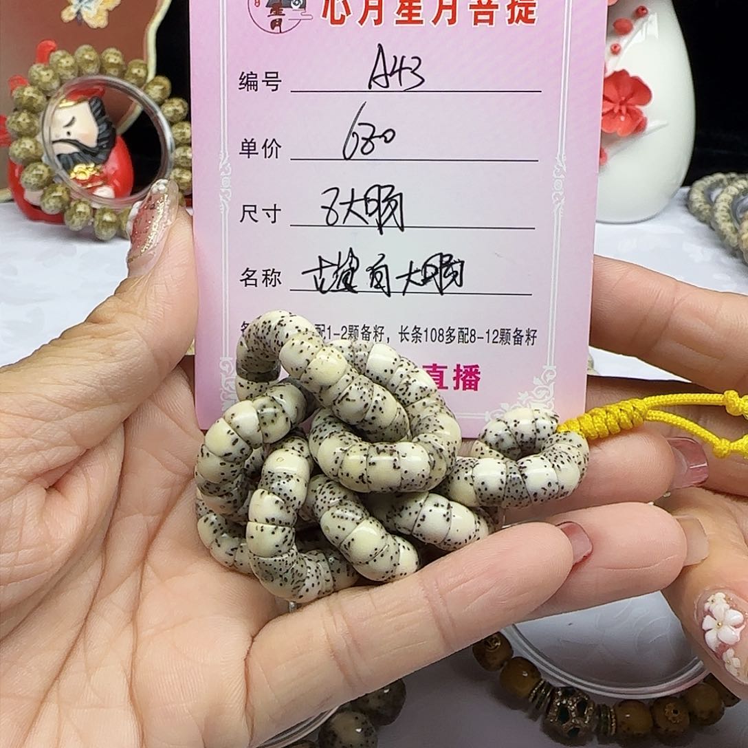 海南心月星月菩提A43