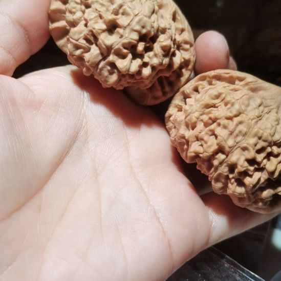 猴头核桃吊坠52.5龙鼎官帽