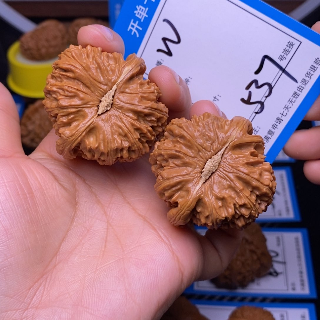 文玩核桃把件闲*46白狮子537号