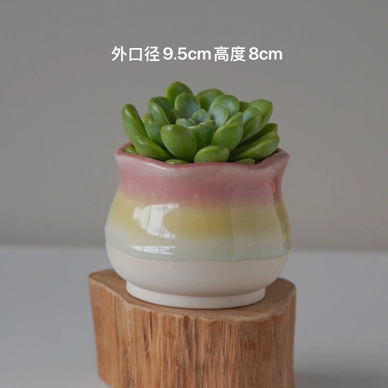 单个装圆肚花边冰裂流釉花盆（颜色可自选）