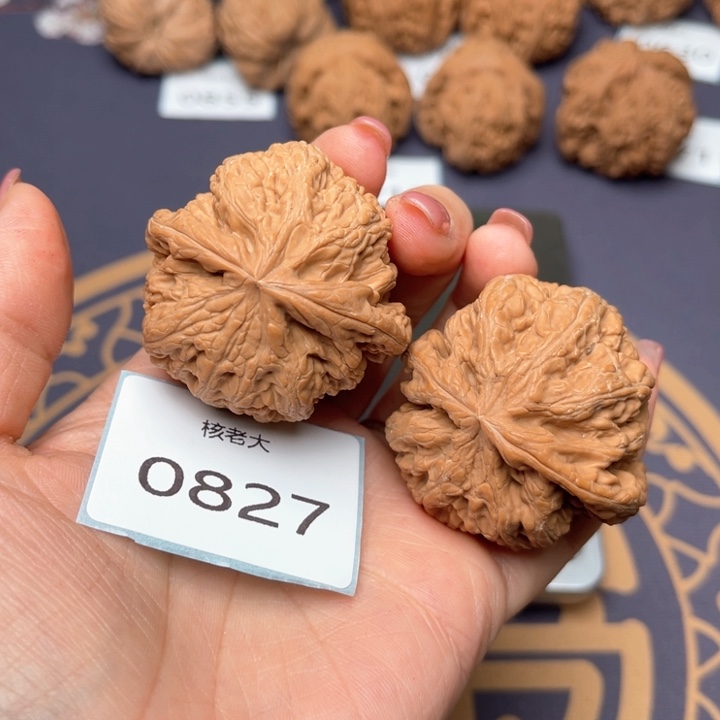 文玩核桃把件44大粗筋 0827