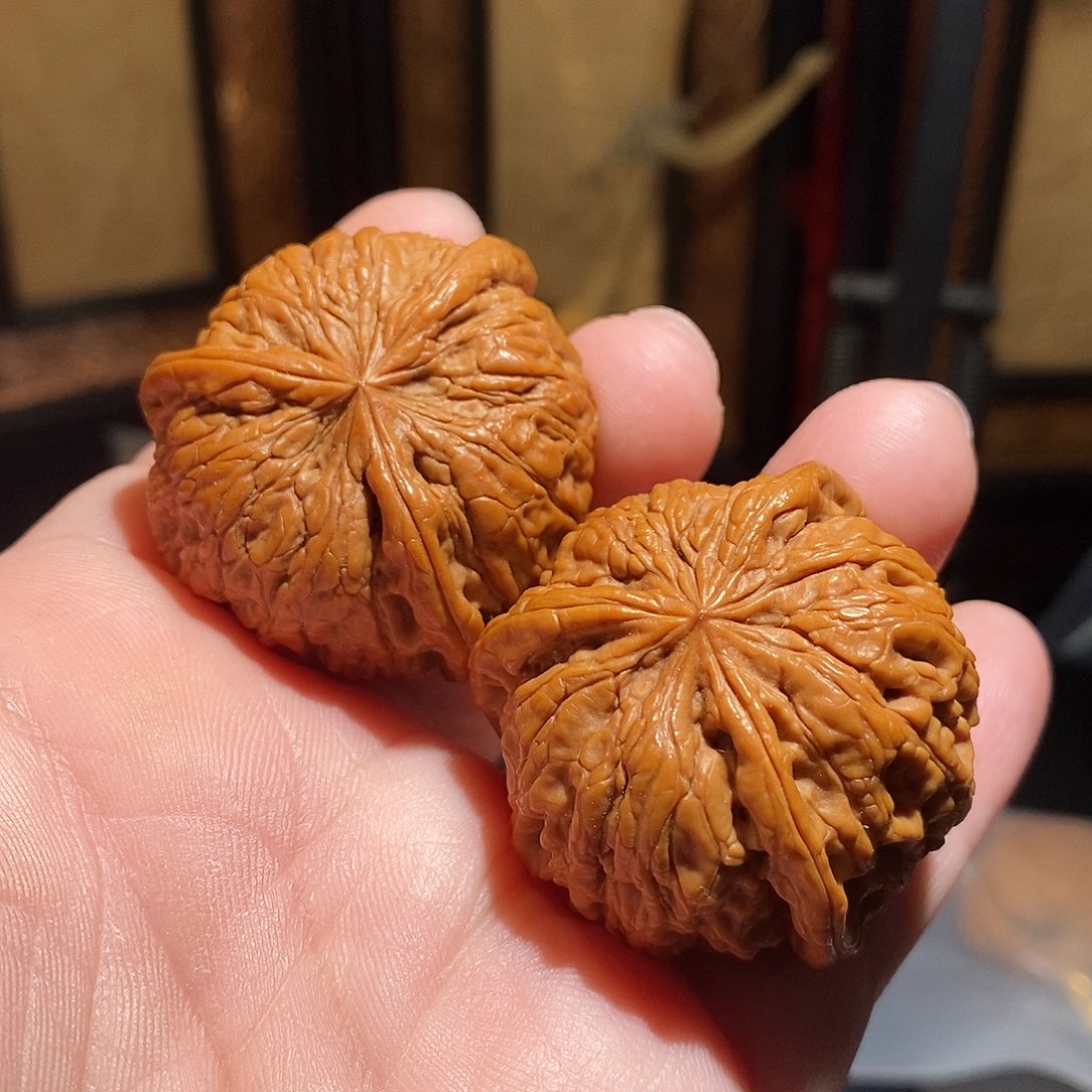 文玩核桃把件42血麒麟三棱全品