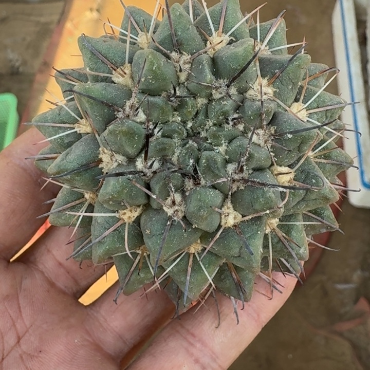 下播福利3333333333