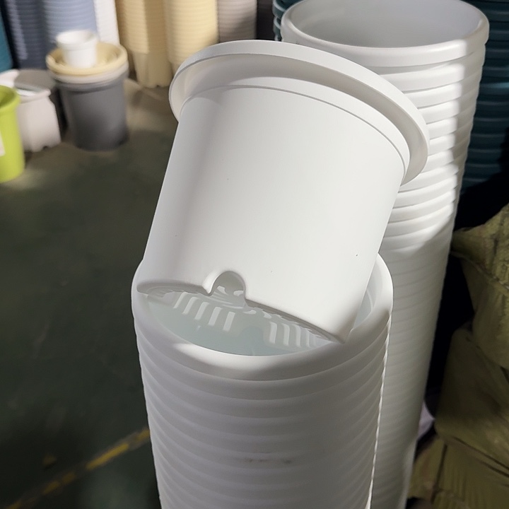 四季3#口径21白色10个无托