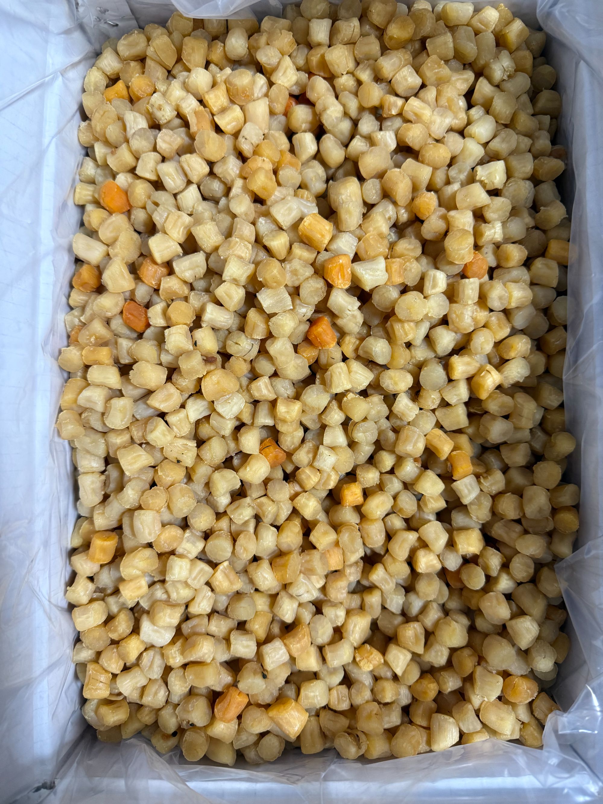 【顺丰包邮】日照淡干贝瑶柱适合煲汤煲粥海鲜干货