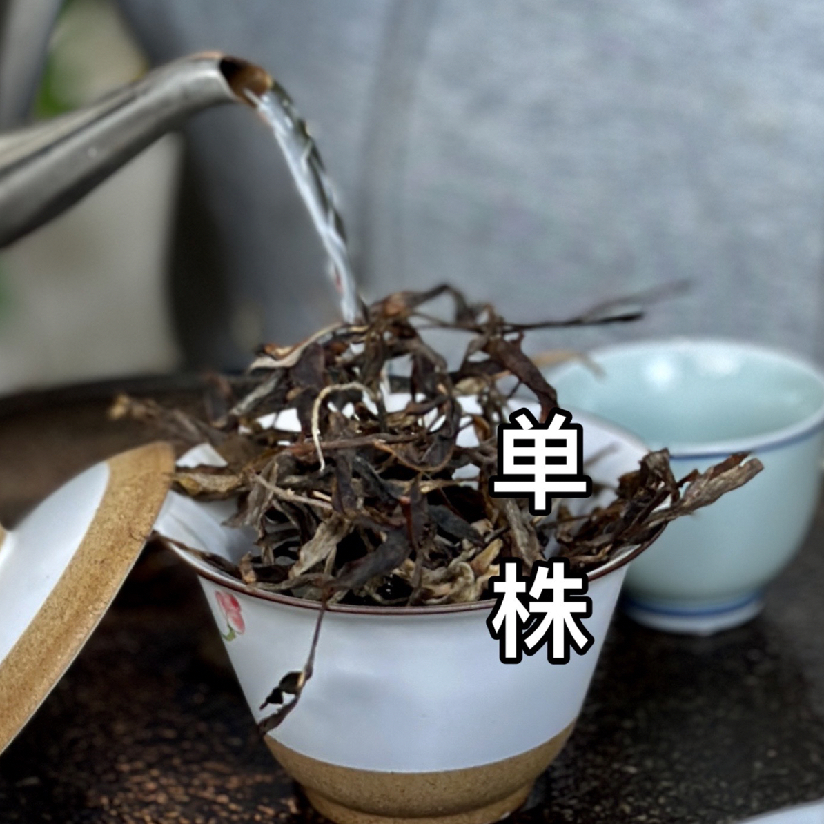 2021年 单株春茶散茶