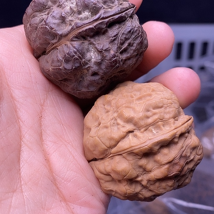 v***D文玩核桃把件  178