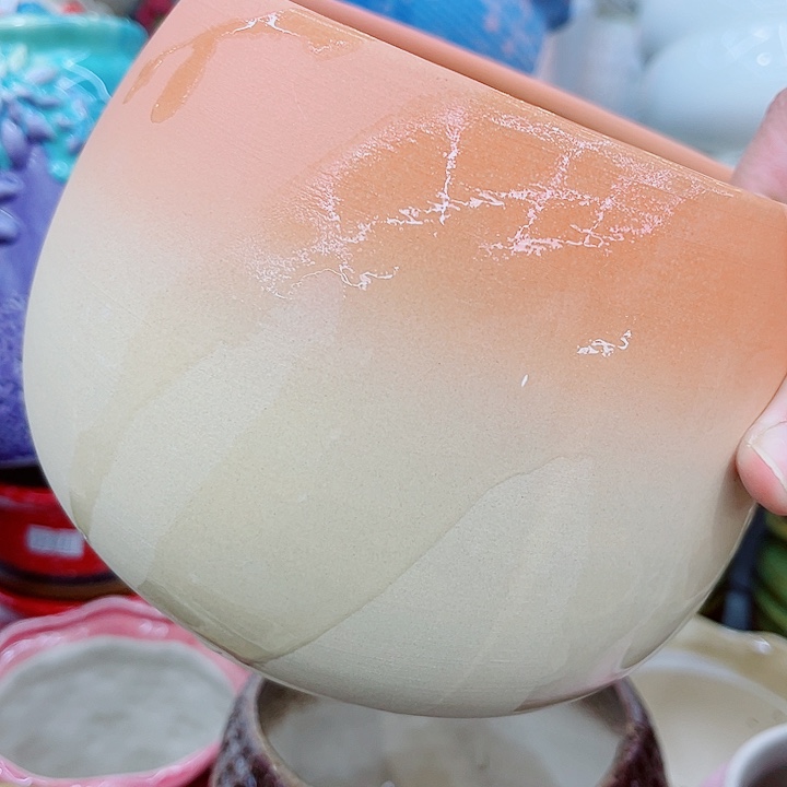 多肉植物陶瓷花盆