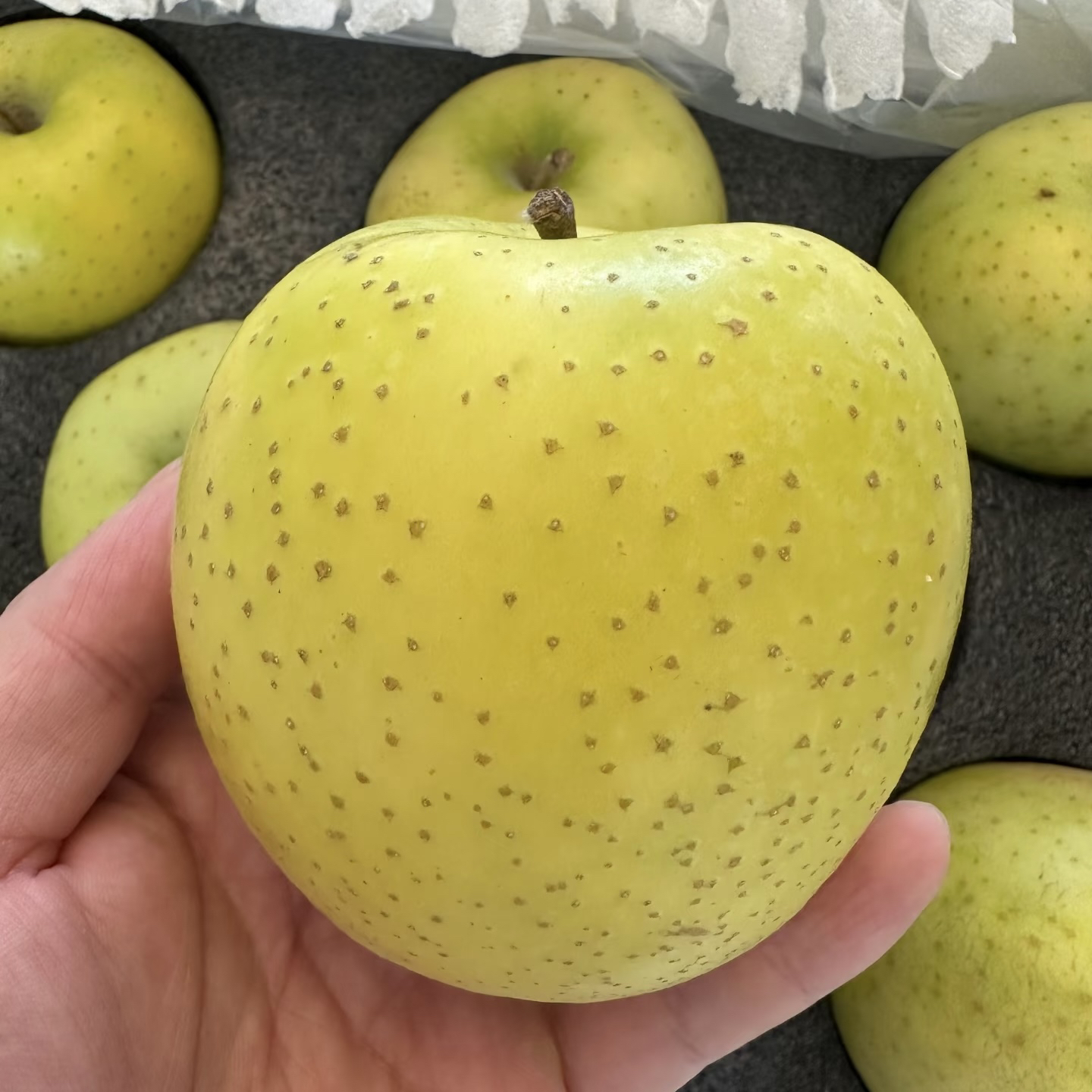 新疆【王林苹果】疆绿脆香王林苹果超脆香甜新鲜应季雪水灌溉脆爽多汁新疆水果新疆维吾尔自治区