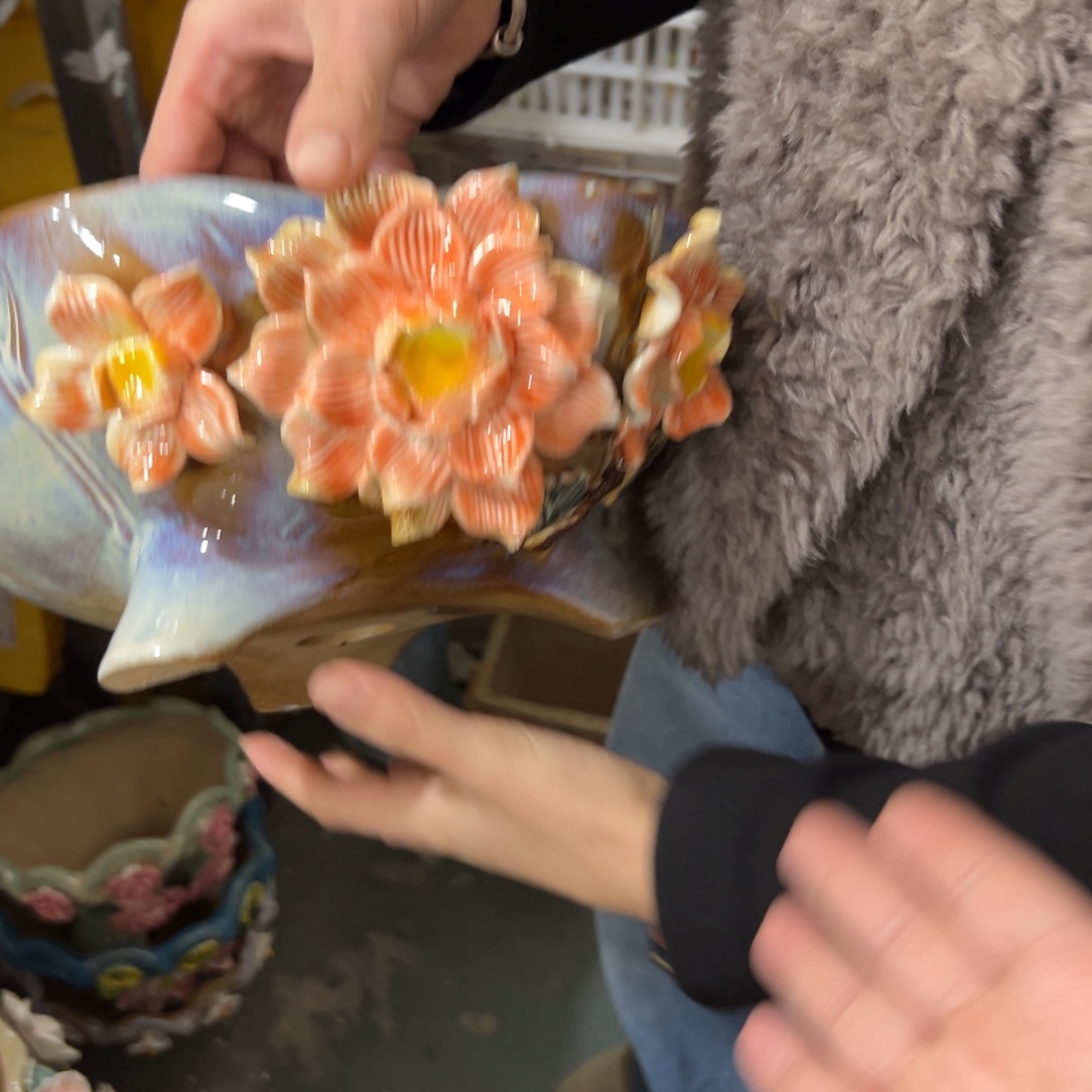 花盆，拍满20发货，退款拉黑