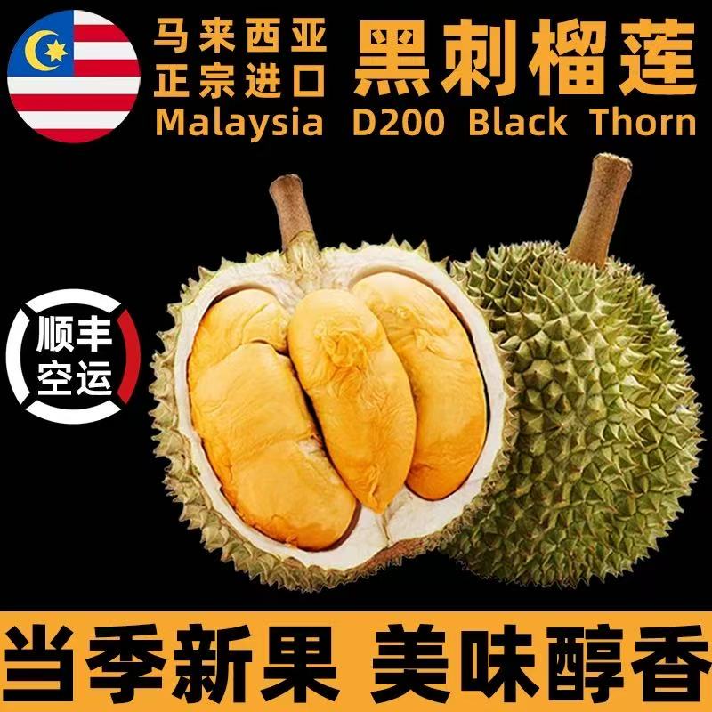 不需催熟100%正宗马来西亚D200黑刺榴莲液氮冷冻榴莲进口自然树熟黑刺马来西亚