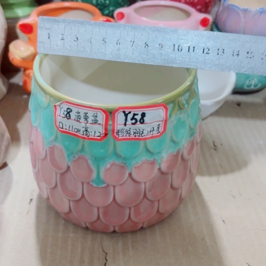 红陶111111111111111111