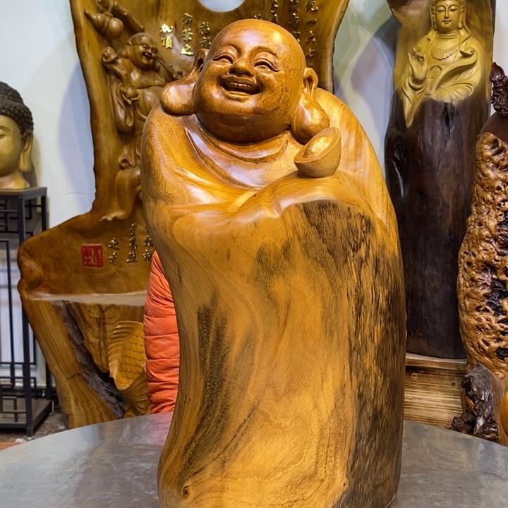 踢***来木香樟木高度51厘米