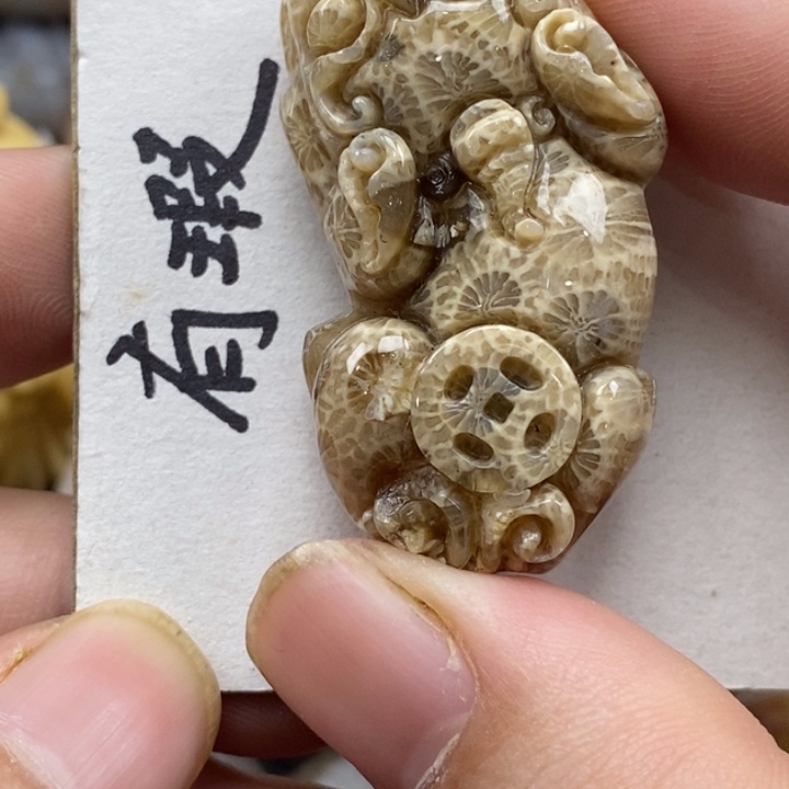 硅化珊瑚（珊瑚玉）未镶嵌颈饰