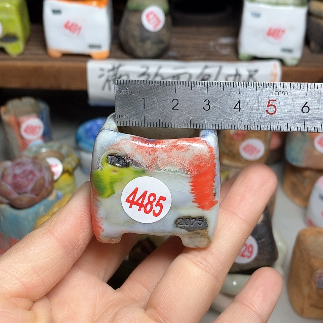 红陶拍5送一个小